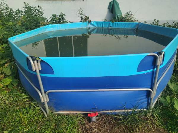 支架水池鱼池